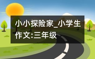 小小探險家_小學(xué)生作文:三年級