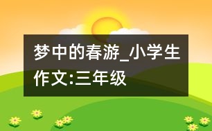 夢中的春游_小學(xué)生作文:三年級