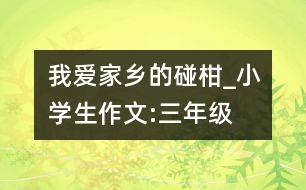 我愛家鄉(xiāng)的碰柑_小學生作文:三年級