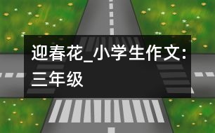 迎春花_小學生作文:三年級