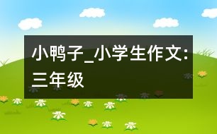 小鴨子_小學(xué)生作文:三年級