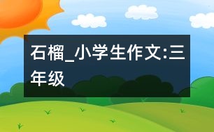 石榴_小學(xué)生作文:三年級