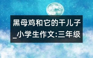 黑母雞和它的干兒子_小學(xué)生作文:三年級