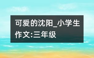 可愛的沈陽_小學(xué)生作文:三年級