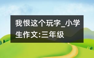 我恨這個“玩”字_小學(xué)生作文:三年級