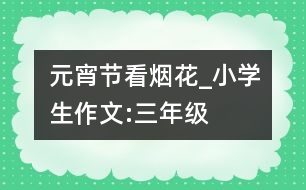 元宵節(jié)看煙花_小學(xué)生作文:三年級