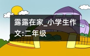 露露在家_小學(xué)生作文:二年級(jí)