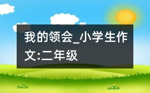 我的領(lǐng)會(huì)_小學(xué)生作文:二年級(jí)