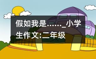 假如我是……_小學(xué)生作文:二年級