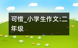 可惜_小學(xué)生作文:二年級