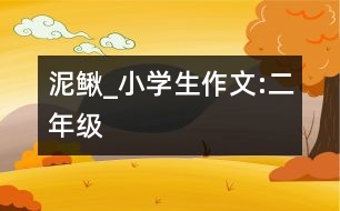 泥鰍_小學(xué)生作文:二年級