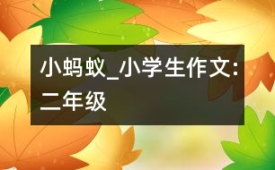 小螞蟻_小學生作文:二年級