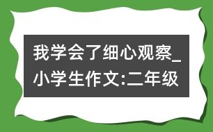 我學(xué)會了細心觀察_小學(xué)生作文:二年級