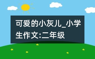 可愛的小灰兒_小學(xué)生作文:二年級