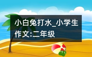 小白兔打水_小學(xué)生作文:二年級