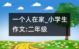 一個(gè)人在家_小學(xué)生作文:二年級(jí)