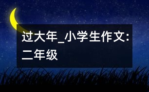 過(guò)大年_小學(xué)生作文:二年級(jí)