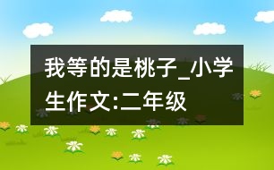 我等的是桃子_小學(xué)生作文:二年級(jí)