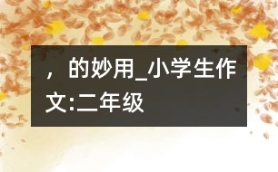 “，”的妙用_小學(xué)生作文:二年級