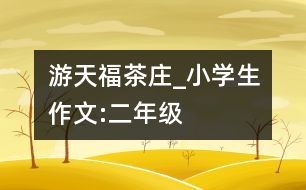 游天福茶莊_小學生作文:二年級