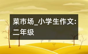 菜市場(chǎng)_小學(xué)生作文:二年級(jí)