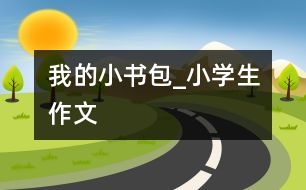 我的小書包_小學(xué)生作文