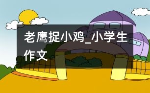 老鷹捉小雞_小學(xué)生作文