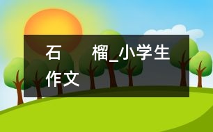 石      榴_小學(xué)生作文