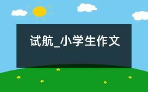 試航_小學生作文