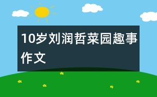 10歲劉潤哲：菜園趣事（作文）