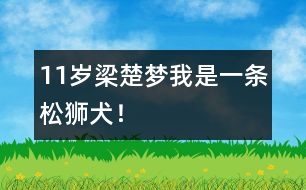 11歲梁楚夢：我是一條松獅犬！