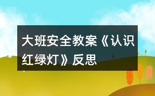 大班安全教案《認識紅綠燈》反思