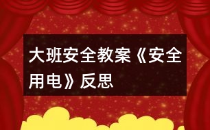 大班安全教案《安全用電》反思