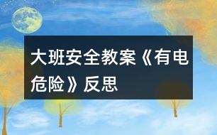 大班安全教案《有電危險(xiǎn)》反思