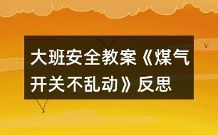 大班安全教案《煤氣開關不亂動》反思