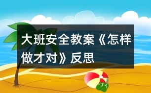 大班安全教案《怎樣做才對(duì)》反思