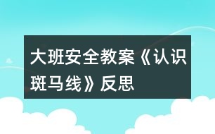 大班安全教案《認(rèn)識斑馬線》反思