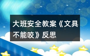 大班安全教案《文具不能咬》反思