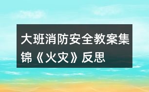 大班消防安全教案集錦《火災》反思