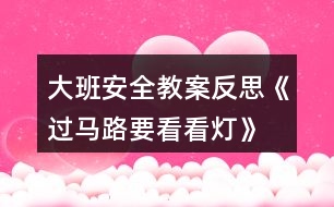 大班安全教案反思《過(guò)馬路要看看燈》