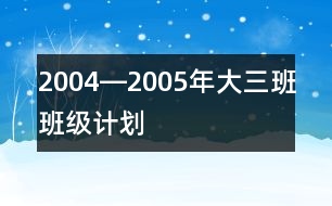 2004―2005年大（三）班班級計劃