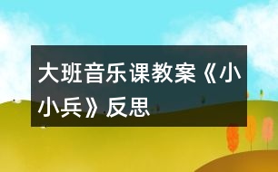 大班音樂課教案《小小兵》反思