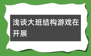 淺談大班結構游戲在開展