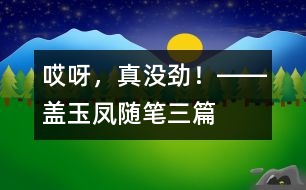 “哎呀，真沒(méi)勁！”――蓋玉鳳隨筆三篇