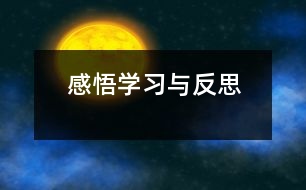 感悟?qū)W習與反思