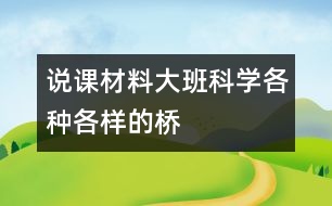 說課材料大班科學：各種各樣的橋