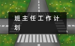 班 主 任 工 作 計(jì) 劃