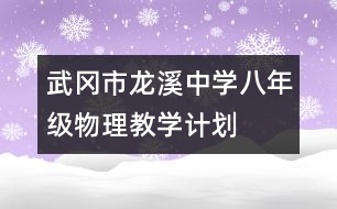 武岡市龍溪中學(xué)八年級物理教學(xué)計劃