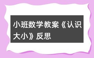 小班數(shù)學教案《認識大小》反思