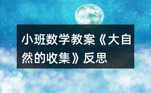 小班數(shù)學(xué)教案《大自然的收集》反思